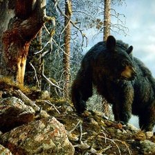 Схема вышивки «лесной сюжет»