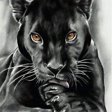 Схема вышивки «Пантера.»