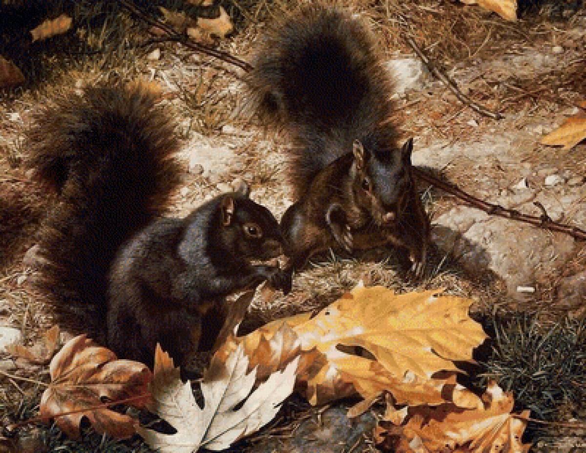 лесной сюжет - предпросмотр