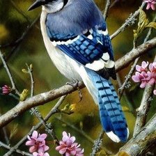 Схема вышивки «птички»