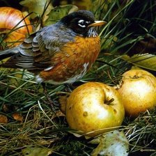 Схема вышивки «птички»