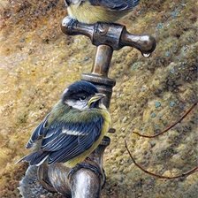 Схема вышивки «птички»