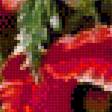 Предпросмотр схемы вышивки «Poppys in a Vase.» (№1943615)
