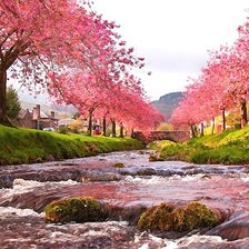 ГОРОДОК МЕЧТЫ