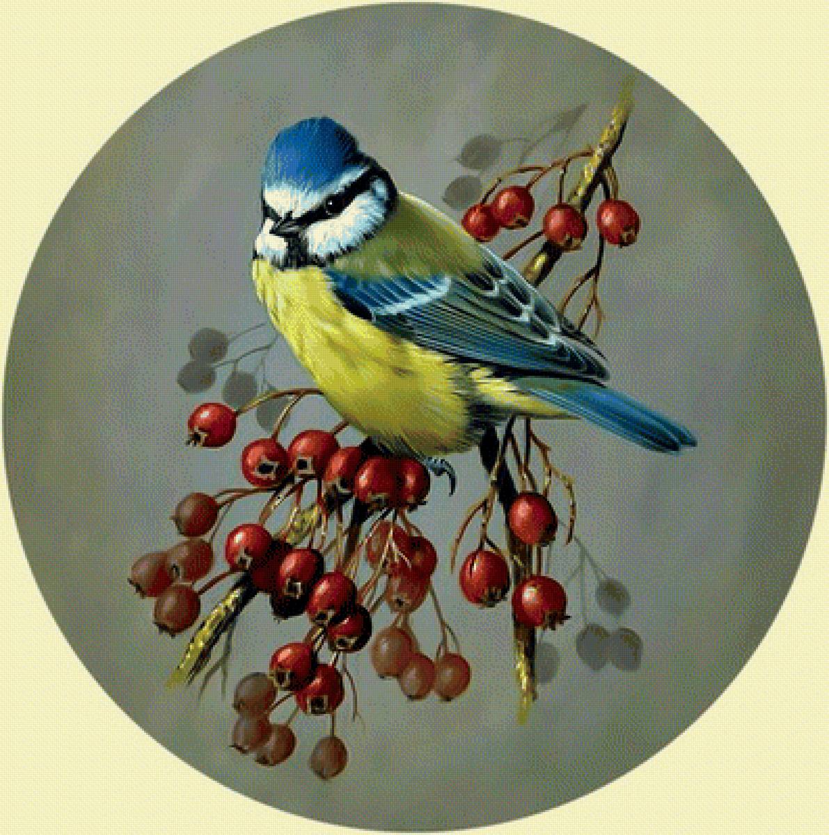 Птичка на веточке. - картина., птица, ветка - предпросмотр