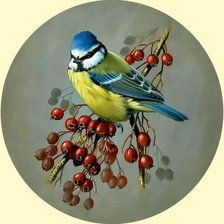 Схема вышивки «Птичка на веточке.»