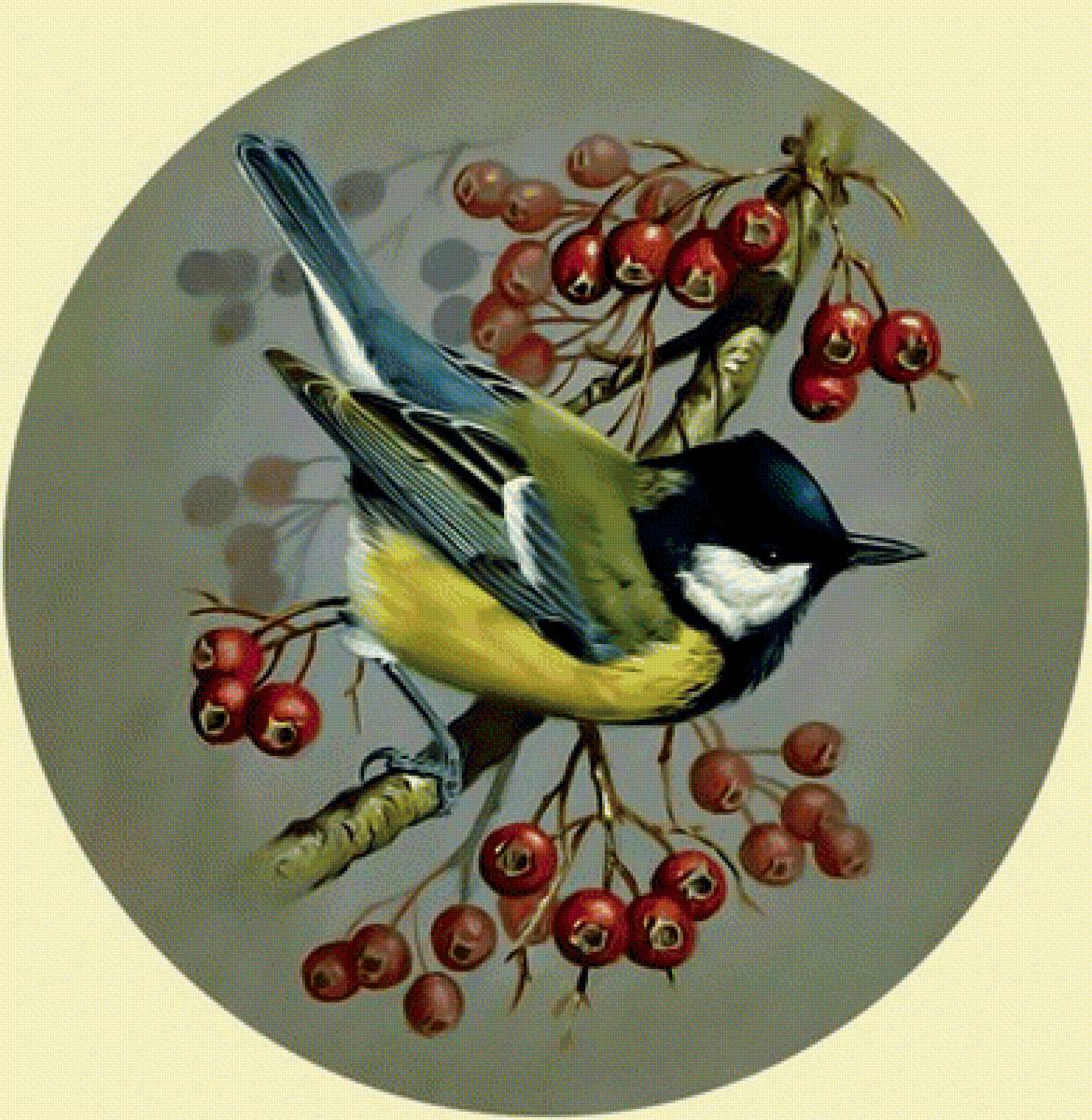 Синица на ветке. - синица, ветка., птица - предпросмотр