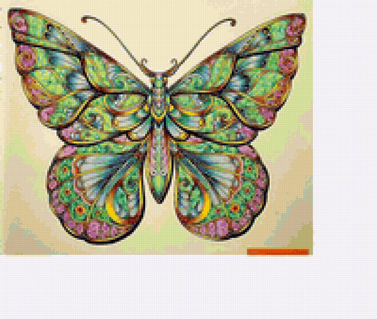 бабочка - бабочка - предпросмотр
