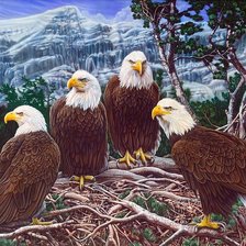 Схема вышивки «№1943691»