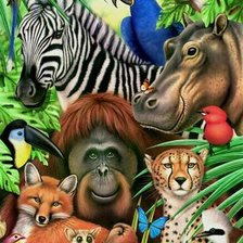 Мир животных.