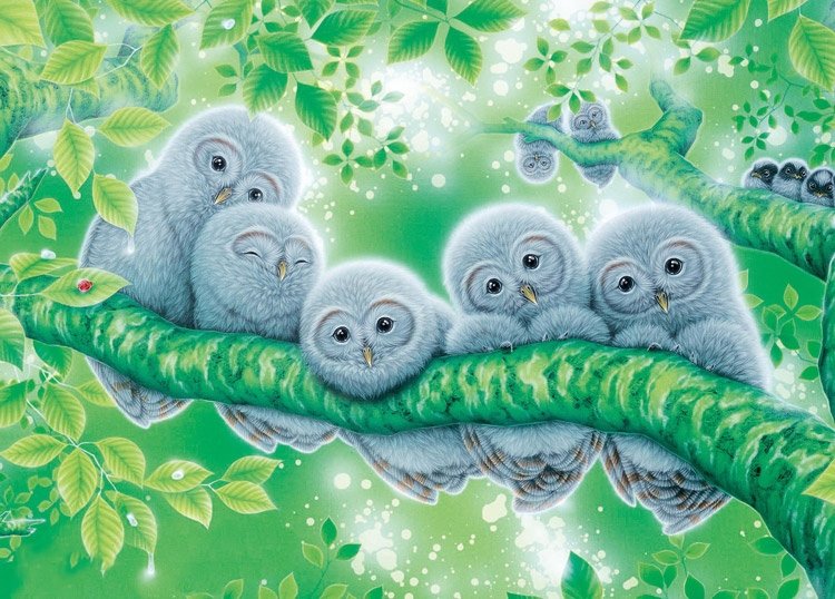 №1943752 - совы, птицы, животные - оригинал