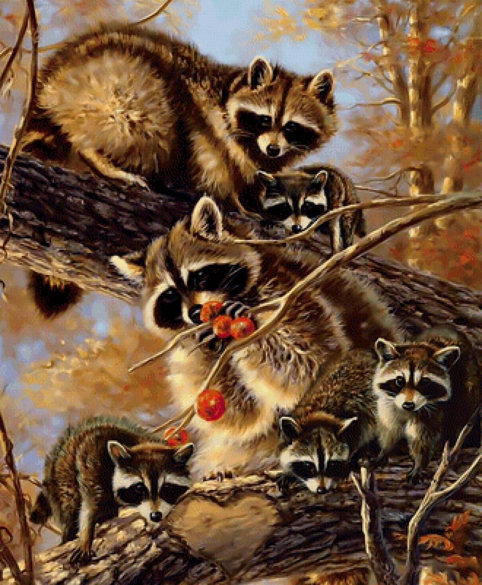 Енотики. - еноты, осень, листва. - предпросмотр