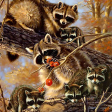 Схема вышивки «Енотики.»