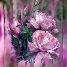 Розы. Кэрол Кавалирис.