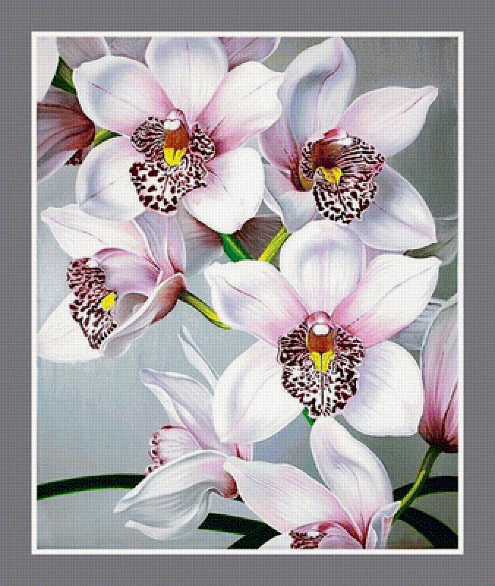 №1943883 - цветы, натюрморт - предпросмотр