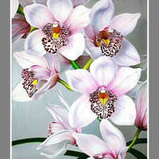 Схема вышивки «№1943883»