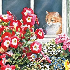 Схема вышивки «котик»