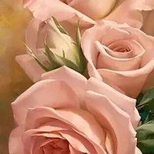 Схема вышивки «розы»