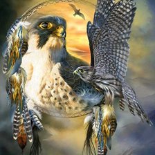 Схема вышивки «Орел»