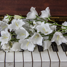 колокольчики