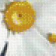 Предпросмотр схемы вышивки «Ромашковый букет.» (№1944054)
