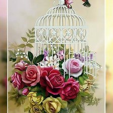 Клетка и колибри.