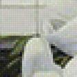 Предпросмотр схемы вышивки «БЕЛЫЕ ЛИЛИИ» (№1944104)
