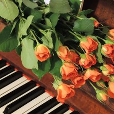 Схема вышивки «розы»