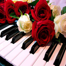 Схема вышивки «розы»