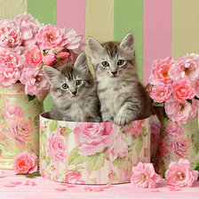 Схема вышивки «№1944155»