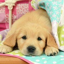 Схема вышивки «№1944156»