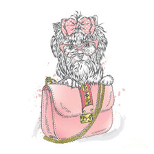 Схема вышивки «рисунок»