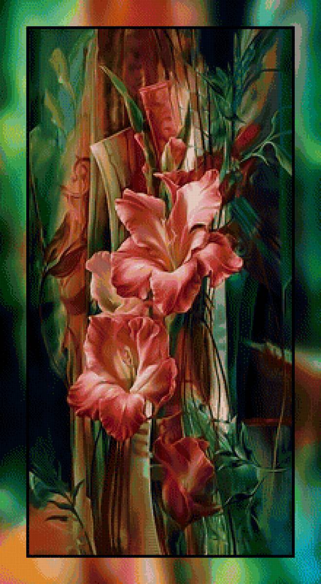 Гладиолусы. - гладиолусы., цветы - предпросмотр