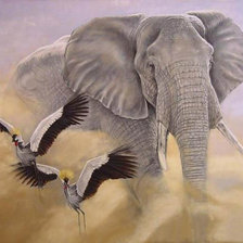 Схема вышивки «СЮЖЕТ»