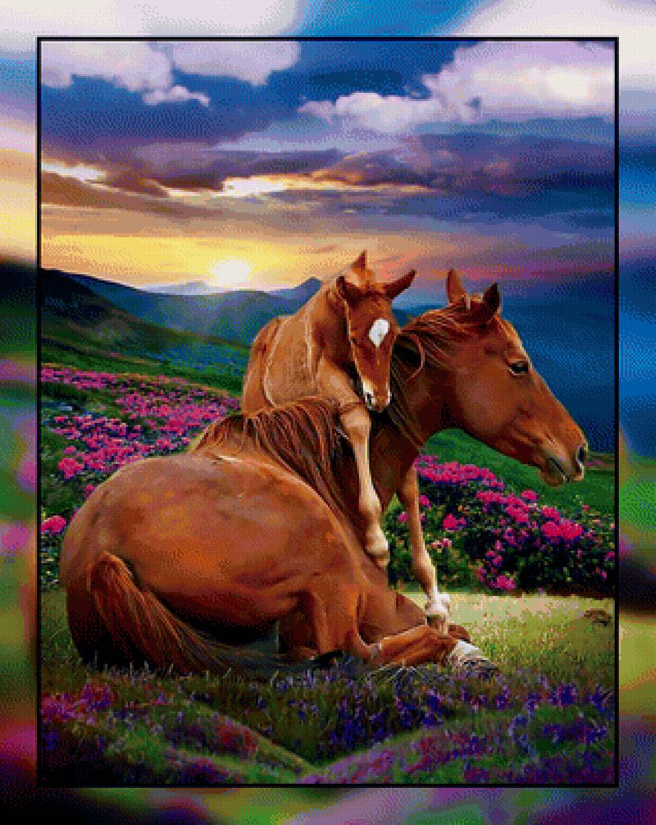 Лошади. - цветы, пейзаж., закат, лошади - предпросмотр