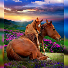 Схема вышивки «Лошади.»