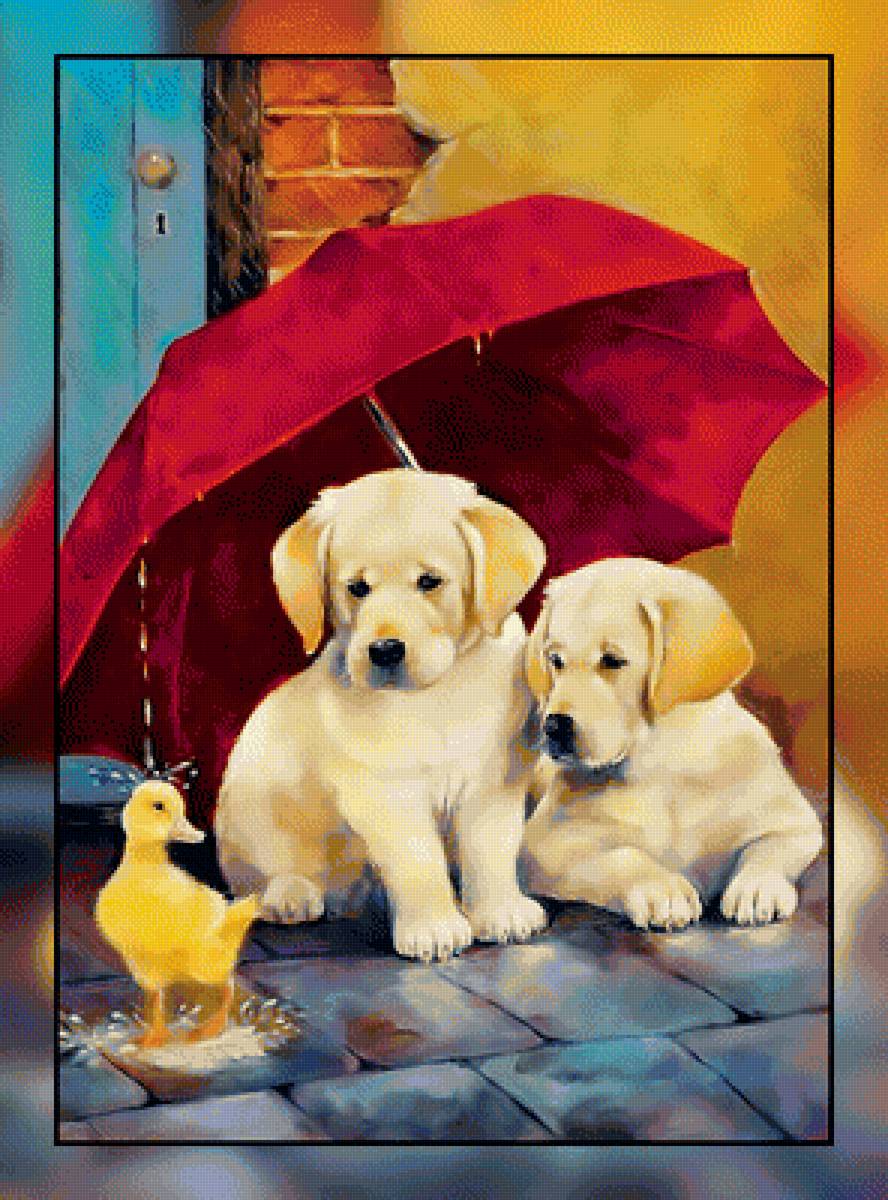 Утёнок и щенки. - утенок, дождь, зонт, щенки. - предпросмотр