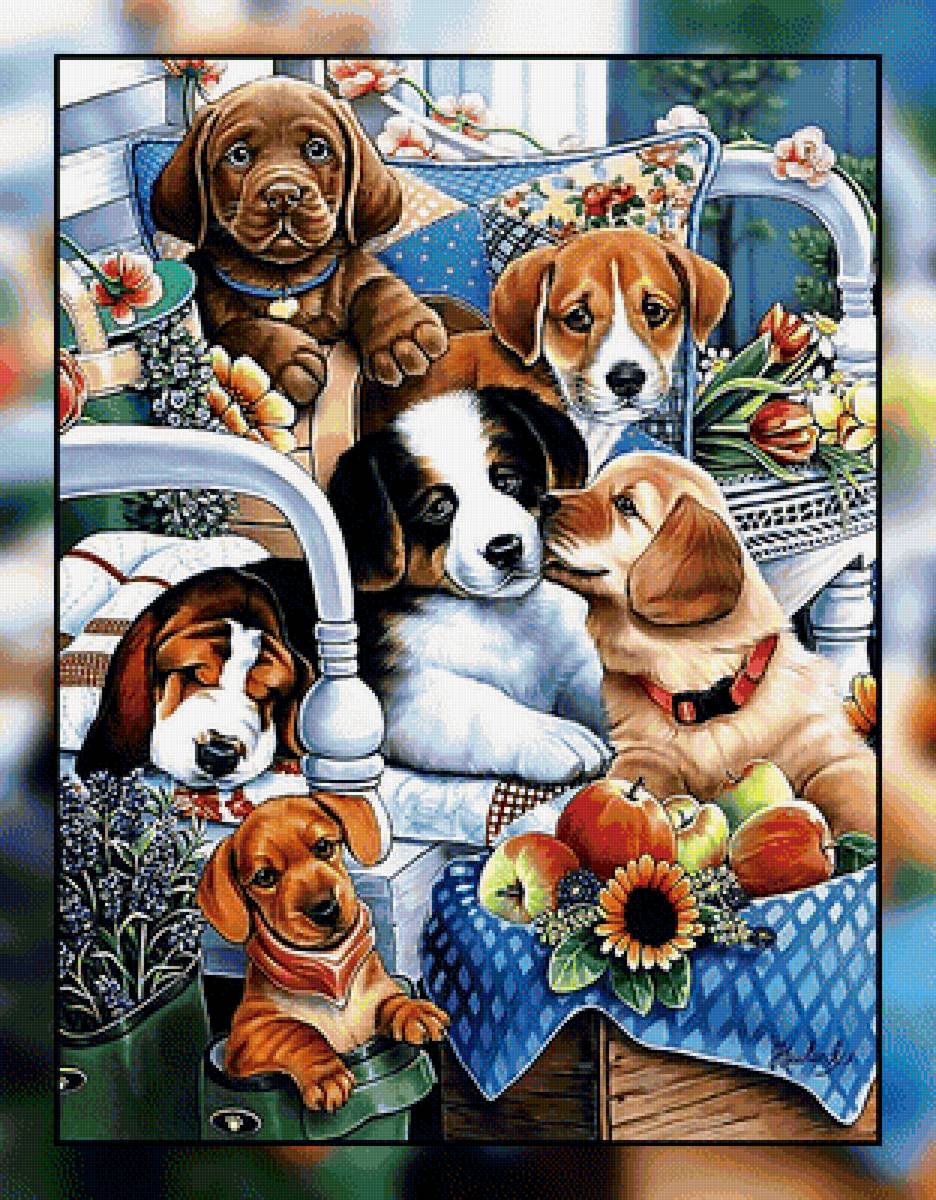 Малыши. - щенки., собаки - предпросмотр