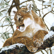 Схема вышивки «№1944647»