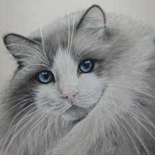 Схема вышивки «№1944982»