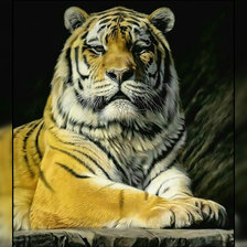 Схема вышивки «Его Величество.»