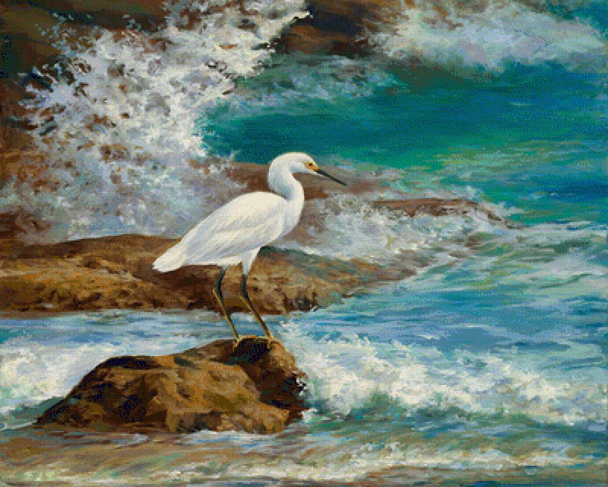 Egret Breakfast on the Rocks. - laurie snow-hein painter.seascapes.birds. - предпросмотр