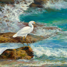 Egret Breakfast on the Rocks.