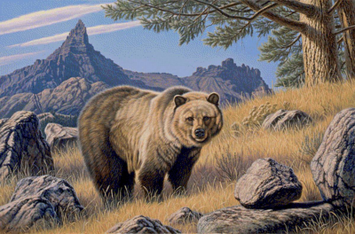 Grizzly Country. - paul krapf painter.animals. - предпросмотр