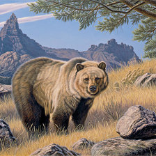 Схема вышивки «Grizzly Country.»