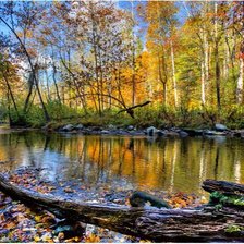 Схема вышивки «ОСЕНЬ»