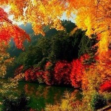 Схема вышивки «Краски осени»