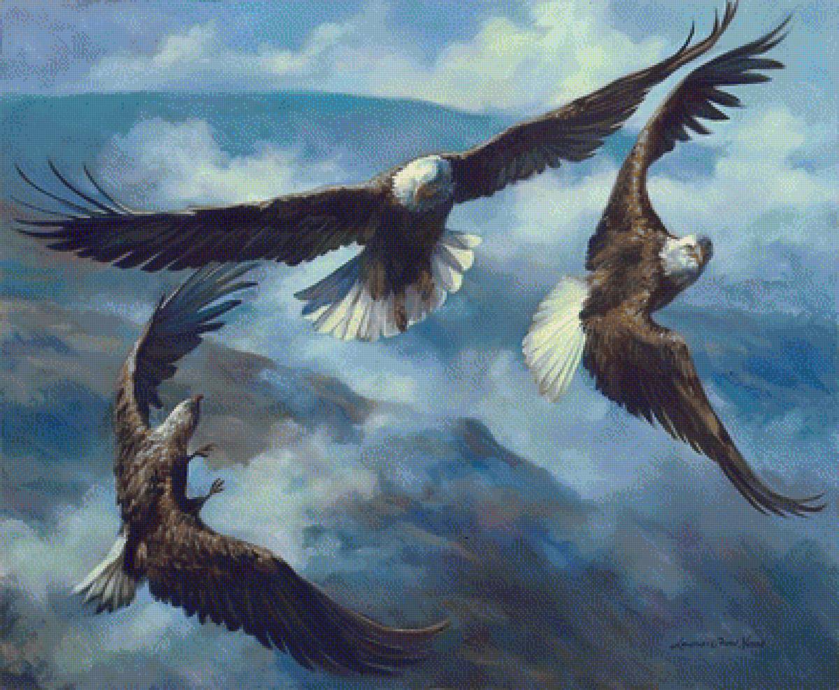 Learn from the Experts. - laurie snow-hein painter.scenarys.birds. - предпросмотр