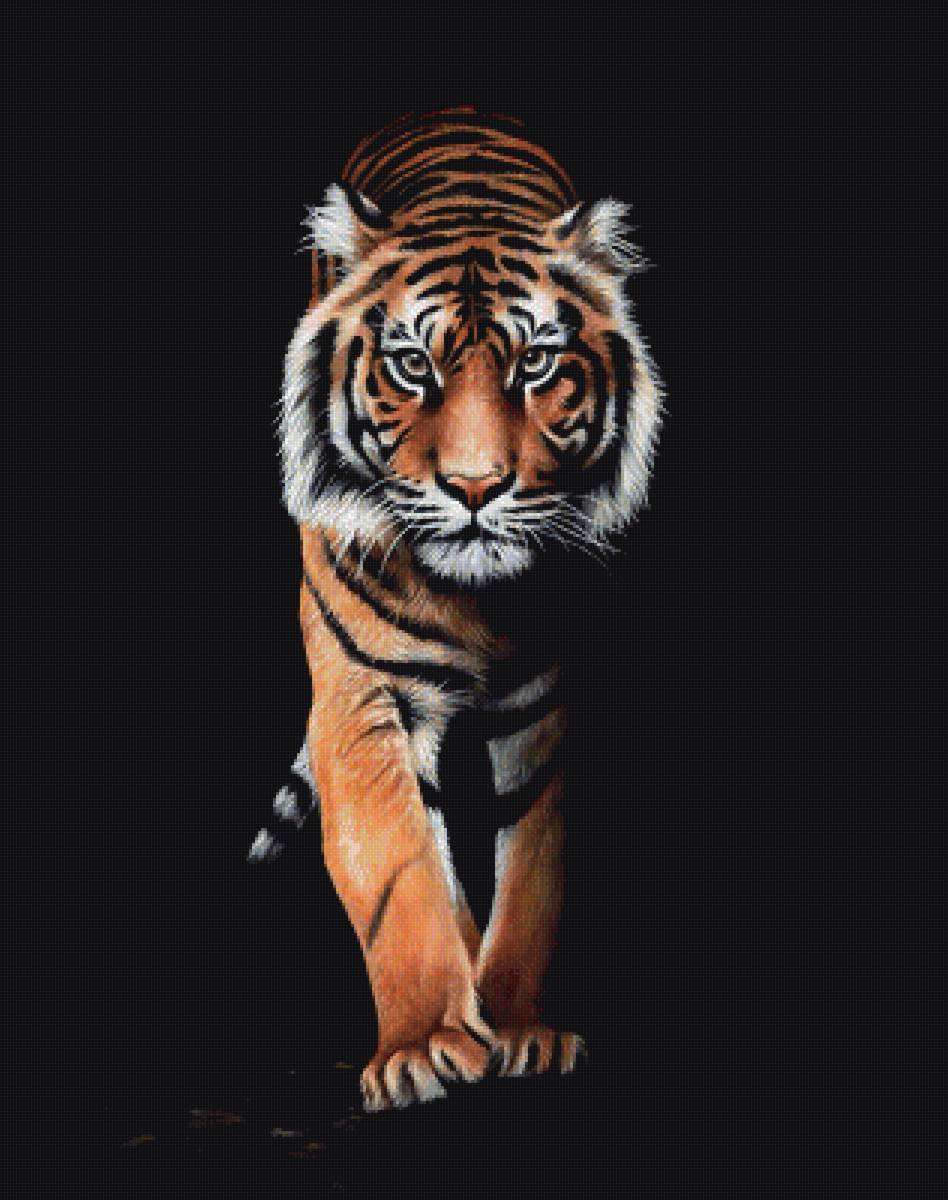 №1945218 - тигры, хищники, животные, тигр - предпросмотр