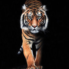 Схема вышивки «№1945218»